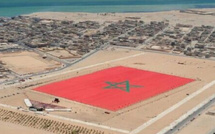 بلجيكا تعزز موقفها الجديد بشأن الصحراء المغربية وتعلن خطوات دبلوماسية واقتصادية عملية