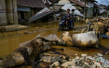 ​فيضانات وانهيارات أرضية في جزيرة سومطرة الإندونيسية تتسبب في مقتل 950 شخصًا وفقدان المئات