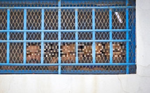 الإفراج المقيد بشروط: آلية حديثة لتعزيز التأهيل وتقليل الاكتظاظ السجني