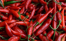 رفض أوروبي جديد للصادرات المغربية : هل تكفي بلاغات لونسا "المطمئنة" لمواجهة المخاطر المتزايدة على سمعة الفلاحة الوطنية؟