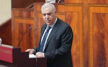 عبد الوافي لفتيت يوضح آليات ضمان مشاركة مغاربة العالم في انتخابات 2026