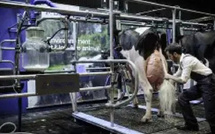 افتتاح مركز كارفور زناتة الجديد في الدار البيضاء