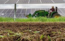 71 ألف وظيفة جديدة.. المغرب يتصدر قائمة الاستثمار الأجنبي في قطاع الأغذية والزراعة