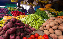 تقلبات الطقس ترفع أسعار الخضراوات في المغرب: الأمطار تعرقل الحصاد والأسواق تتأثر