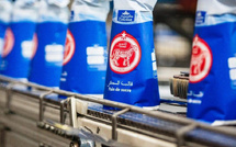 أسعار السكر المكرر ترتفع للمرة الأولى منذ 2006 : الحكومة تعدّل الحد الأقصى مع تنظيم هوامش الربح