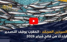 السردين المجمّد : المغرب يوقف التصدير ابتداءً من فاتح فبراير 2026
