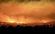 حرائق غابات هائلة تلتهم جنوب شرق أستراليا مع موجة حرّ قياسية