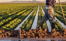 المغرب يعلن الخروج من دائرة الجفاف بعد سبع سنوات من الضغط المائي