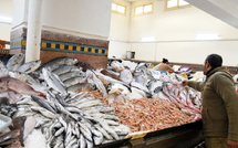 أزمة الأسماك في سبتة المحتلة: ارتفاع الأسعار وتعقيدات الاستيراد تهدد القطاع