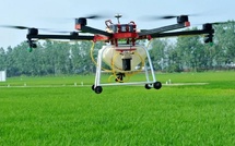 الصين تدخل الزراعة الذكية بقوة عبر نموذج ذكاء اصطناعي جديد