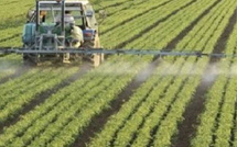 البرلمان يعيد فتح ملف “مخطط المغرب الأخضر”: تقييم الحصيلة واستشراف آفاق الأمن الغذائي