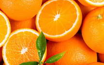 بعد سنوات من  التراجع : البرتقال المغربي يستعيد مكانته في الأسواق الدولية