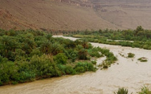 تحسن نسبي لمخزون السدود بالمغرب وسط تفاوت بين الأحواض المائية
