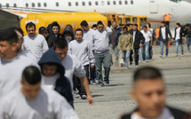 منحة 2600 دولار وطائرة مجانية… أمريكا تشجع المغادرة الطوعية للمهاجرين