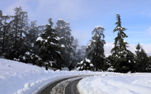 عودة الثلوج إلى مرتفعات خنيفرة تزين غابات الأرز وتنعش الفرشة المائية