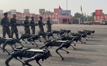 كلاب روبوتية قتالية مزوّدة ببنادق مثبتة تُشكّل الفرقة الجديدة في القوات المسلحة الهندية