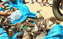 دراسة تحذر: الأضرار الصحية للبلاستيك قد تتضاعف بحلول 2040