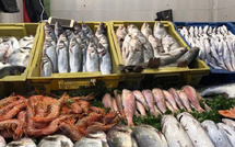 الجامعة المغربية لحقوق المستهلك : الشفافية والرقابة البيولوجية مفتاح استقرار سوق الأسماك بالمغرب