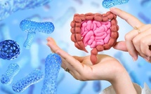 بكتيريا الأمعاء والشيخوخة: دراسة جديدة تفتح آفاقًا صحية واعدة