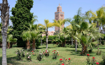 لفتيت يكشف استراتيجية متكاملة لحماية الحدائق العمومية… مراكش نموذجًا