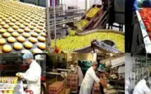 ​الاستثمار الإيطالي في المغرب: فرص صناعية وطاقة وتكنولوجيا