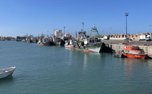 بأكثر من 381 مليون درهم… نشاط الصيد البحري بطرفاية يسجل انتعاشًا لافتًا