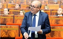 جدل برلماني حول غلاء اللحوم واتهامات لوزير الفلاحة