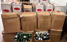 حجز أزيد من ألف قنينة خمر وتوقيف مشتبه فيه بأكادير