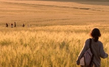 سينما تالا حديد: حين تتحول الصورة إلى سؤال مفتوح