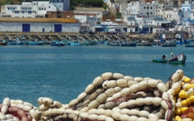 استئناف جزئي لنشاط الصيد بميناء العرائش بعد تحسن الأحوال الجوية