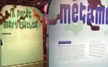 معرض «Métamorphoses» في غاليري إسباس إكسبريشن CDG: رحلة فنية في التحوّل والإبداع