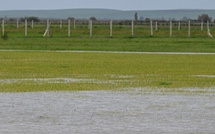 فيضانات شمال وغرب المغرب: تقديرات أولية تشير إلى تضرر 20 إلى 25% من الأراضي الفلاحية