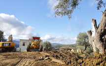 المغرب يخطط لاقتصاد أخضر متكامل لتعزيز الوظائف المستدامة وحماية العمال من تغير المناخ