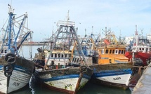 ميناء العيون يسجل انتعاشة قوية في مفرغات السردين بعد رفع الحظر