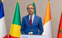 تعزيز دور المجلس الاقتصادي والاجتماعي والبيئي في إفريقيا: دعوة لدبلوماسية المجتمع المدني والتنمية التشاركية