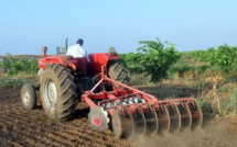 تساقطات مطرية استثنائية تنعش الآمال بموسم فلاحي واعد وتعزز مخزون السدود بالمملكة