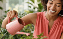 كيف تُحوّل النباتات المنزلية حياتك اليومية دون أن تشعر!