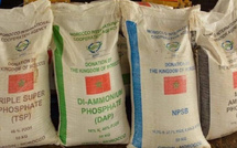 الهند تؤمّن إمدادات الأسمدة لموسم 2025-2026 والمغرب ضمن أبرز الموردين