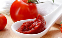 معجون الطماطم: هل هو خيار صحي أم منتج مُعالج يجب الحذر منه؟