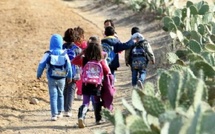 المجلس الاقتصادي والبيئي يدعو إلى مخطط وطني شامل للنقل القروي بحلول 2035