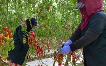 البنك الدولي يدعو لتطوير أنظمة ري ذكية وتمكين الفلاحين الصغار