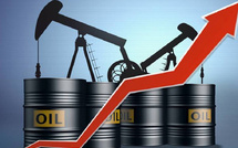 أسعار النفط تفوق 100 دولار وسط اضطراب جيوسياسي متزايد