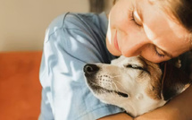 العلاقة بين الإنسان والحيوان وتأثيرها على الصحة النفسية