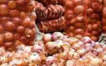 المغرب: ارتفاع أسعار البصل وأثره على المستهلكين