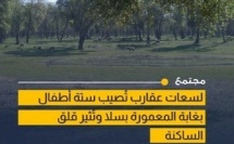 استنفار بسلا بعد تسجيل حالات لسعات عقارب في غابة المعمورة