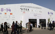 GITEX Africa 2026: استراتيجيات متباينة للشركات الناشئة بين المحلية والإقليمية والعالمية