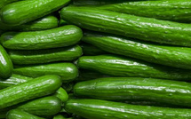 المغرب يسيطر على 72% من واردات إسبانيا من الخيار سنة 2025