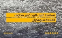 سكان بوفكران بمكناس يتأثرون بعاصفة رعدية وتساقط برد كثيف