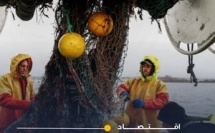 تخصيص 54 ألف طن من الأسماك السطحية لشركات روسية في المغرب