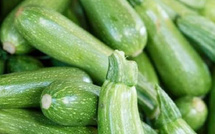 المغرب ثاني أكبر مزود للكوسا للاتحاد الأوروبي بـ31.2 مليون كيلوغرام في 2025